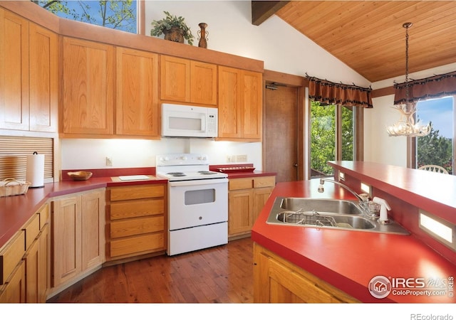 60 Aspen Ln, Red Feather Lakes, CO 80545 - photo 6