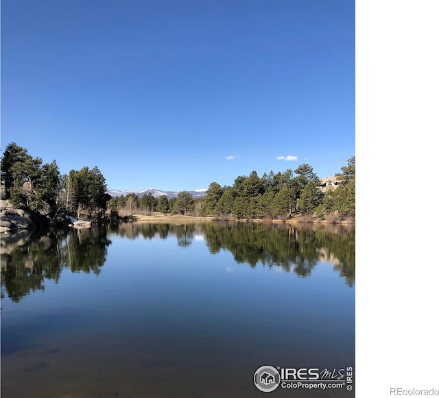 60 Aspen Ln, Red Feather Lakes, CO 80545 - photo 18