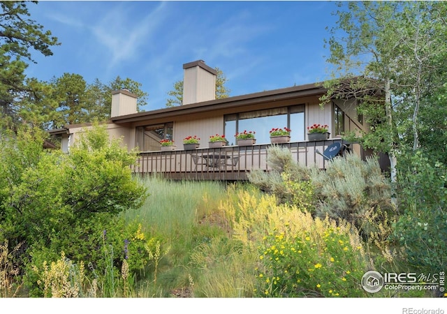 60 Aspen Ln, Red Feather Lakes, CO 80545 - photo 21