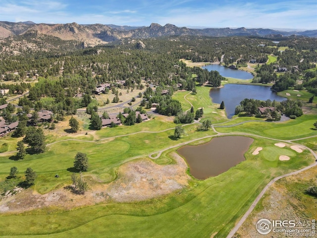 60 Aspen Ln, Red Feather Lakes, CO 80545 - photo 22