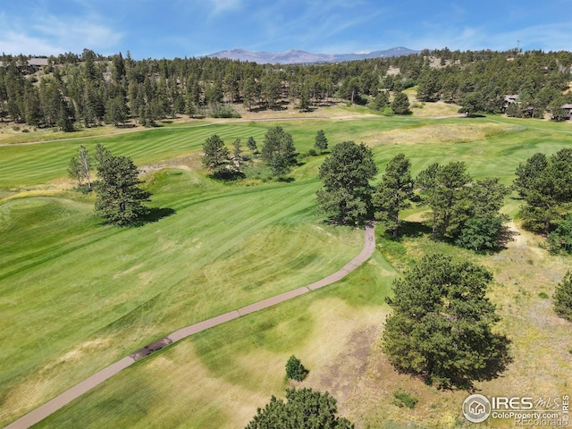 60 Aspen Ln, Red Feather Lakes, CO 80545 - photo 23