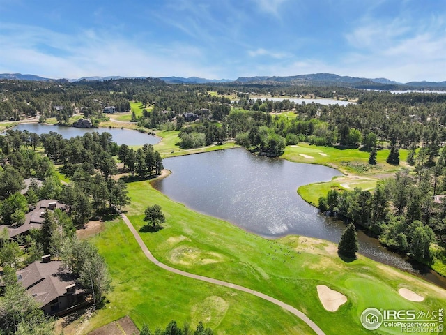 60 Aspen Ln, Red Feather Lakes, CO 80545 - photo 24