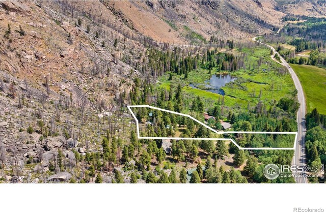 87 Shady Rest Ln, Bellvue, CO 80512 - photo 2