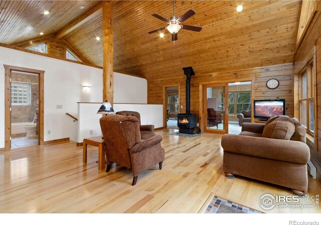 87 Shady Rest Ln, Bellvue, CO 80512 - photo 7