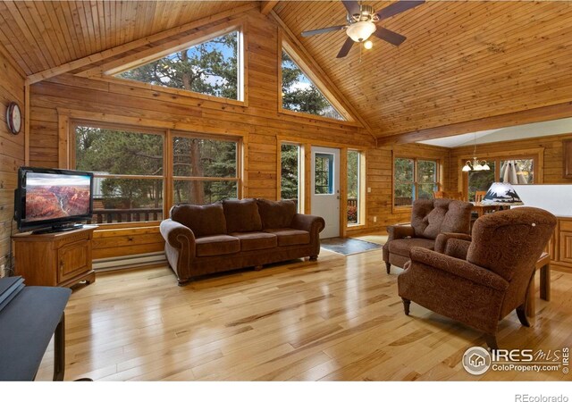 87 Shady Rest Ln, Bellvue, CO 80512 - photo 9