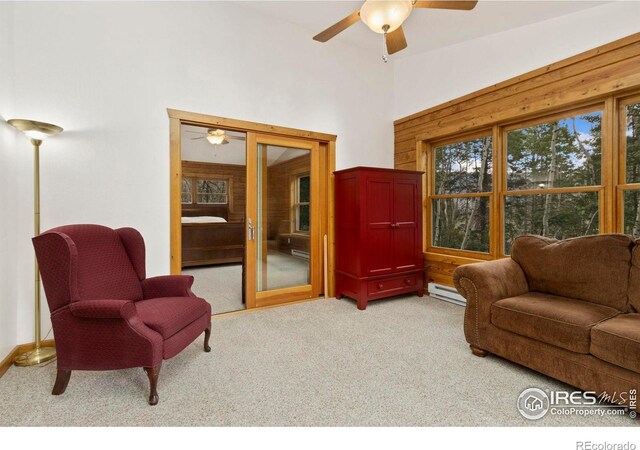 87 Shady Rest Ln, Bellvue, CO 80512 - photo 14