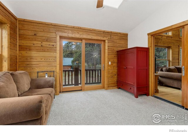 87 Shady Rest Ln, Bellvue, CO 80512 - photo 15