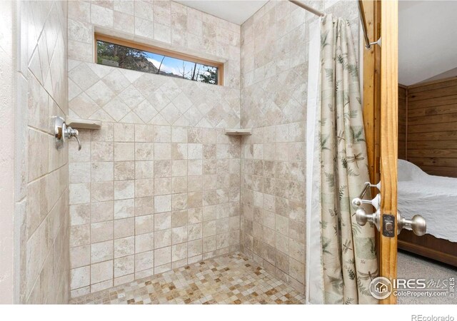 87 Shady Rest Ln, Bellvue, CO 80512 - photo 19
