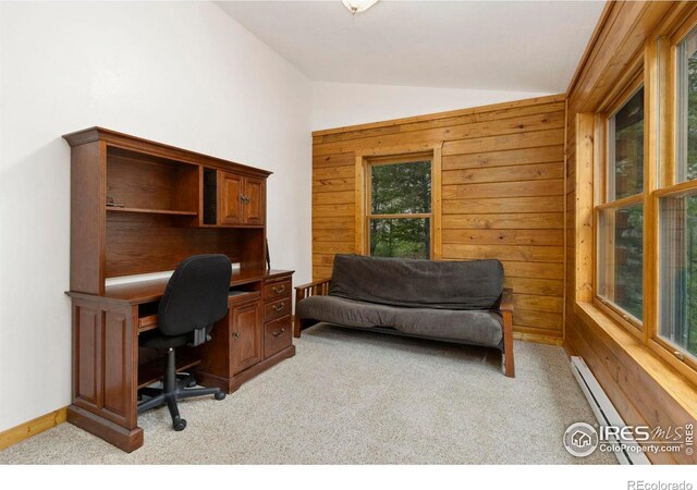 87 Shady Rest Ln, Bellvue, CO 80512 - photo 20