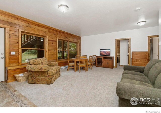 87 Shady Rest Ln, Bellvue, CO 80512 - photo 22