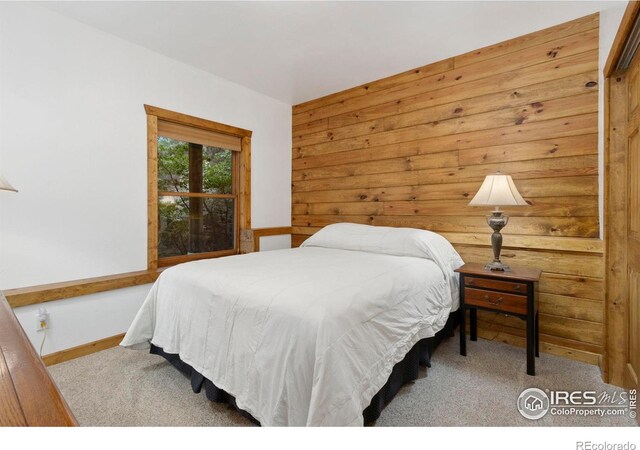 87 Shady Rest Ln, Bellvue, CO 80512 - photo 23