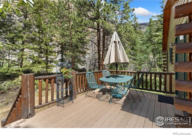 87 Shady Rest Ln, Bellvue, CO 80512 - photo 28