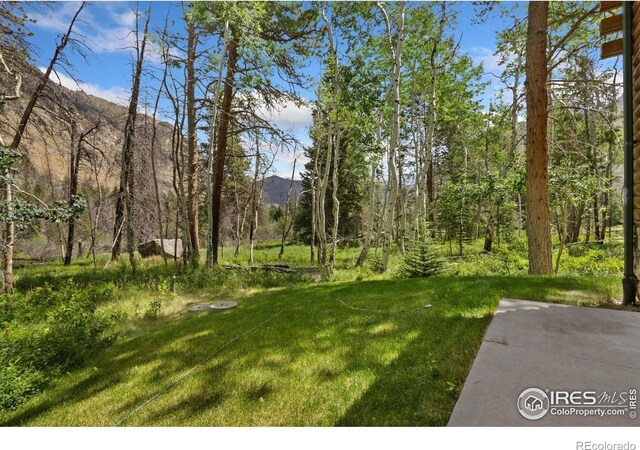 87 Shady Rest Ln, Bellvue, CO 80512 - photo 30