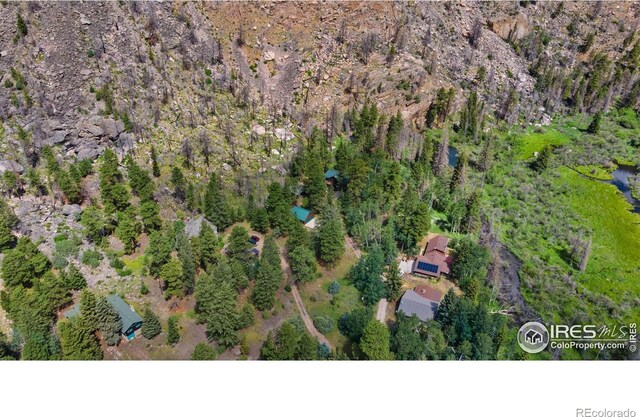 87 Shady Rest Ln, Bellvue, CO 80512 - photo 36