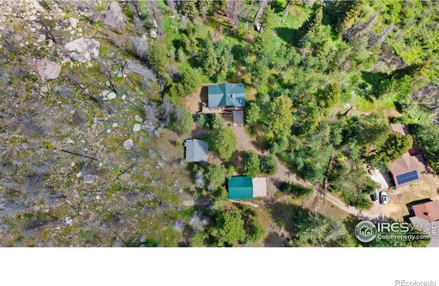 87 Shady Rest Ln, Bellvue, CO 80512 - photo 38