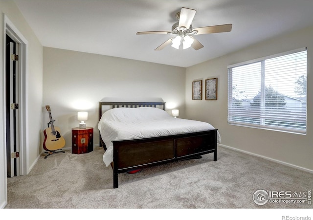 10413 Durango Pl, Longmont, CO 80504 - photo 12