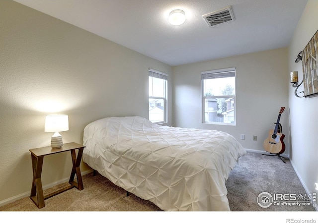 10413 Durango Pl, Longmont, CO 80504 - photo 16
