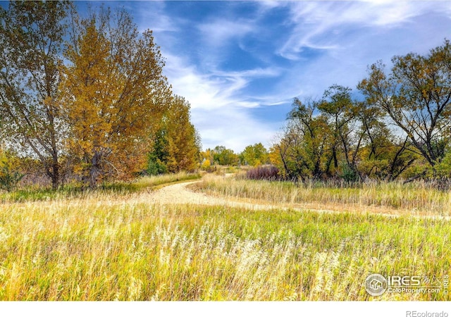 10413 Durango Pl, Longmont, CO 80504 - photo 26