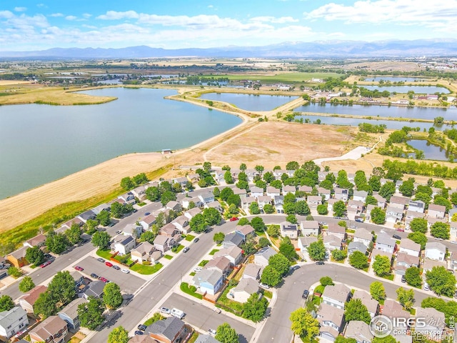 10413 Durango Pl, Longmont, CO 80504 - photo 30