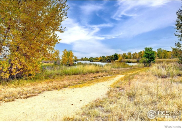 10413 Durango Pl, Longmont, CO 80504 - photo 25