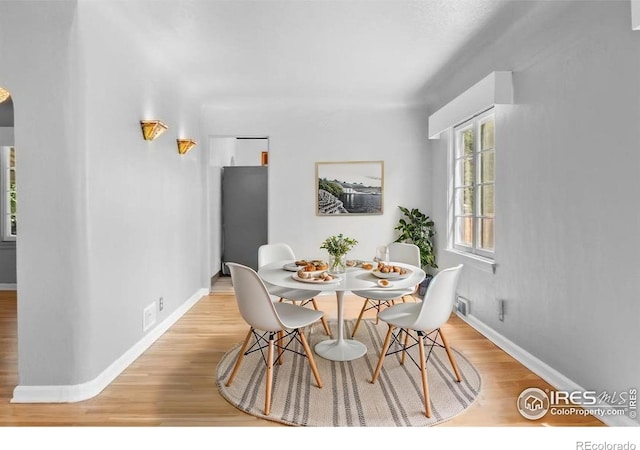 680 Colorado Ave, Loveland, CO 80537 - photo 11