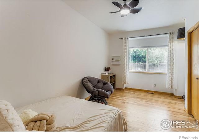 1761 Sunlight Dr, Longmont, CO 80504 - photo 15