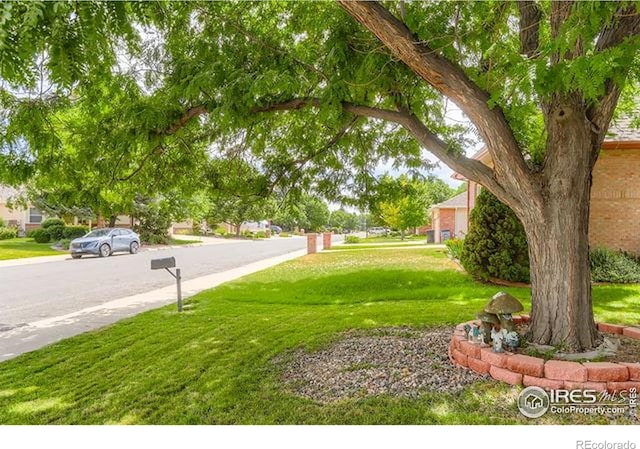 1761 Sunlight Dr, Longmont, CO 80504 - photo 28