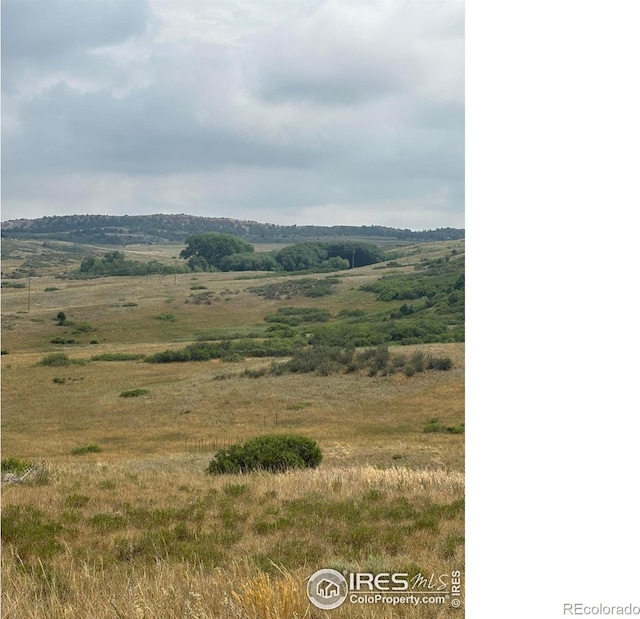 124 Springs Ranch Rd, Laporte, CO 80535 - photo 1