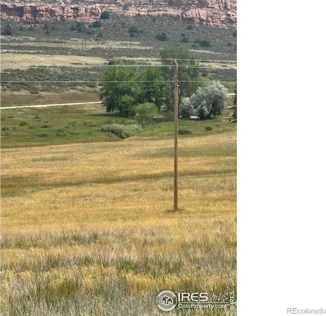 124 Springs Ranch Rd, Laporte, CO 80535 - photo 2