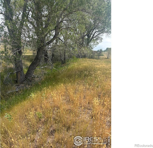 124 Springs Ranch Rd, Laporte, CO 80535 - photo 4