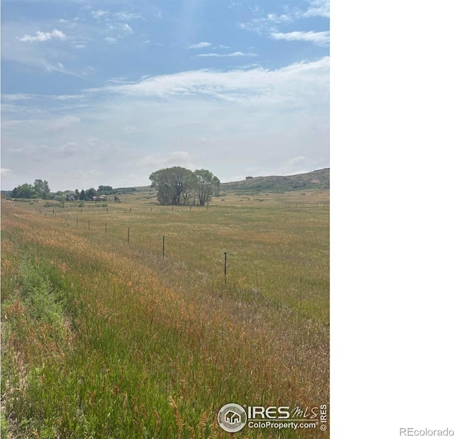 124 Springs Ranch Rd, Laporte, CO 80535 - photo 6
