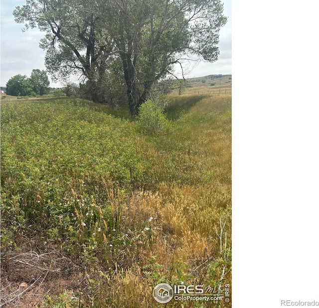 124 Springs Ranch Rd, Laporte, CO 80535 - photo 7