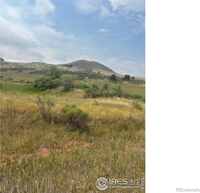 124 Springs Ranch Rd, Laporte, CO 80535 - photo 8
