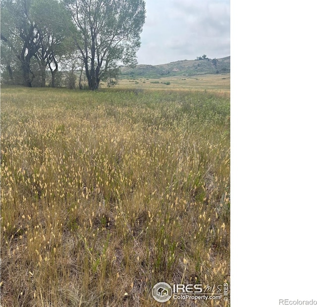 124 Springs Ranch Rd, Laporte, CO 80535 - photo 9