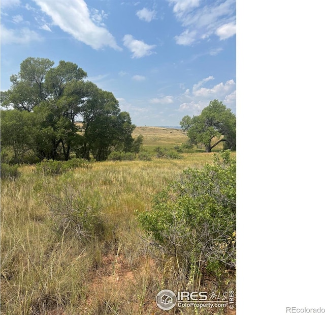124 Springs Ranch Rd, Laporte, CO 80535 - photo 10
