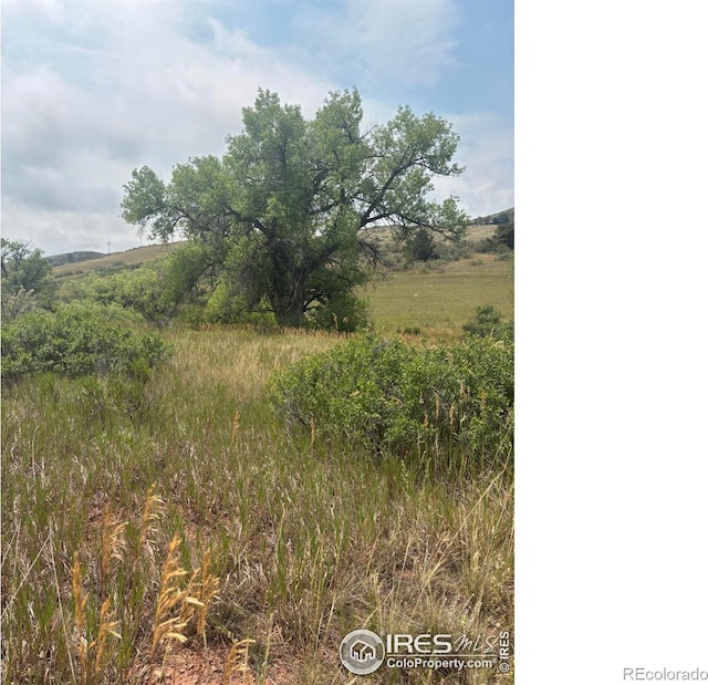 124 Springs Ranch Rd, Laporte, CO 80535 - photo 11