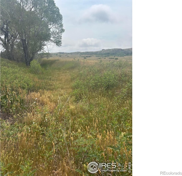 124 Springs Ranch Rd, Laporte, CO 80535 - photo 12