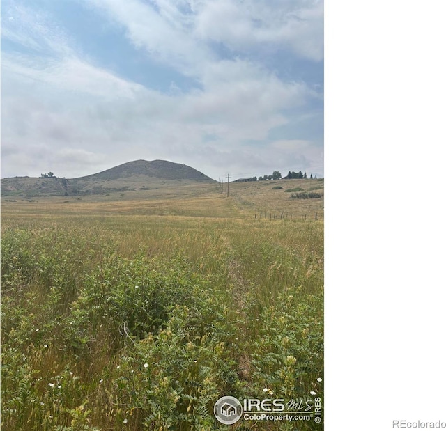 124 Springs Ranch Rd, Laporte, CO 80535 - photo 13