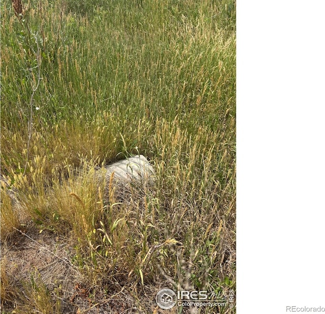 124 Springs Ranch Rd, Laporte, CO 80535 - photo 14