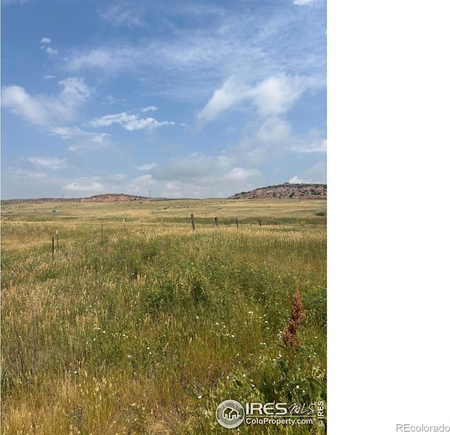 124 Springs Ranch Rd, Laporte, CO 80535 - photo 15