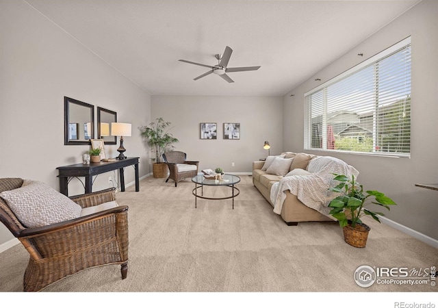 1533 Sorenson Dr, Windsor, CO 80550 - photo 13