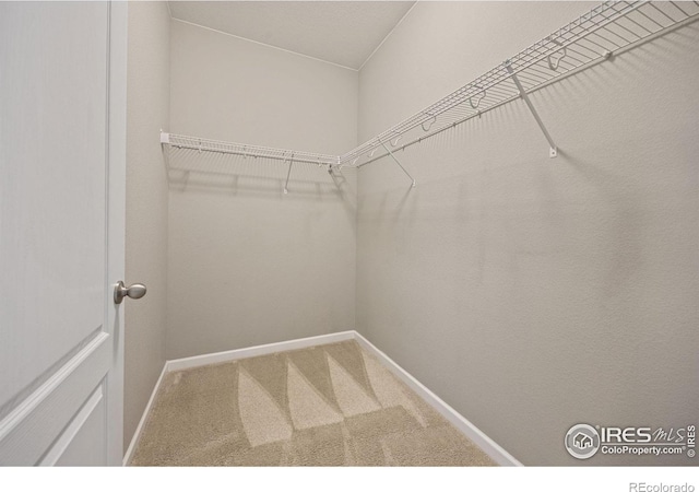 1533 Sorenson Dr, Windsor, CO 80550 - photo 16