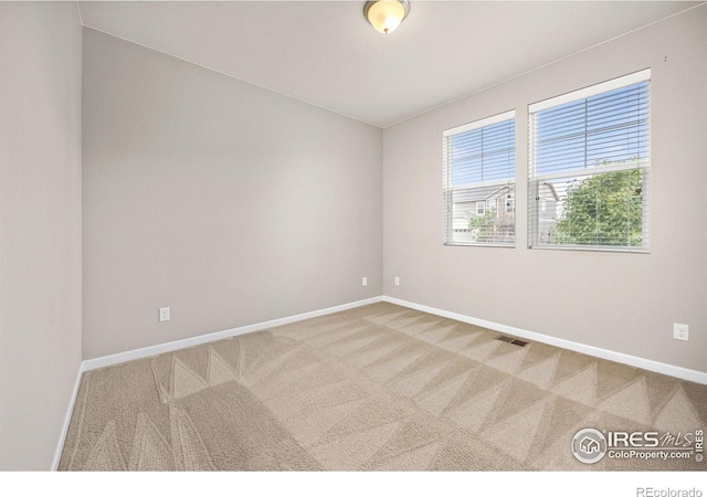 1533 Sorenson Dr, Windsor, CO 80550 - photo 20
