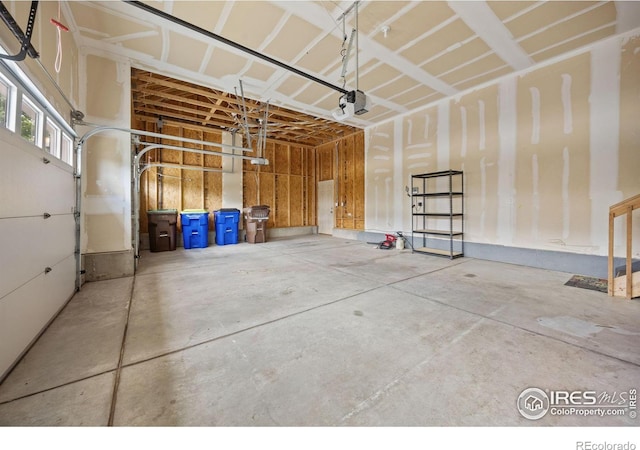 1533 Sorenson Dr, Windsor, CO 80550 - photo 33