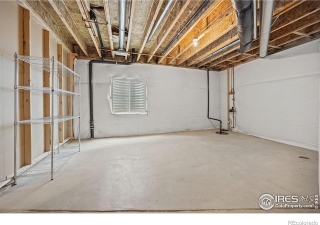 1533 Sorenson Dr, Windsor, CO 80550 - photo 35
