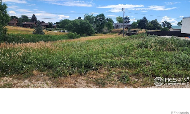 7834 S Everett St, Littleton, CO 80128 - photo 4