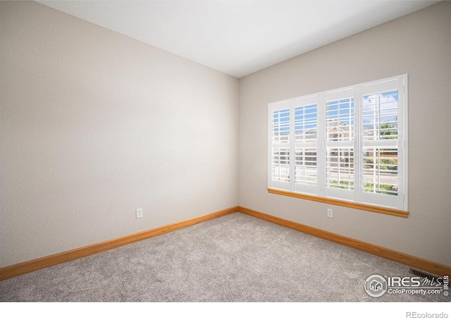 5516 Wetlands Dr, Frederick, CO 80504 - photo 23