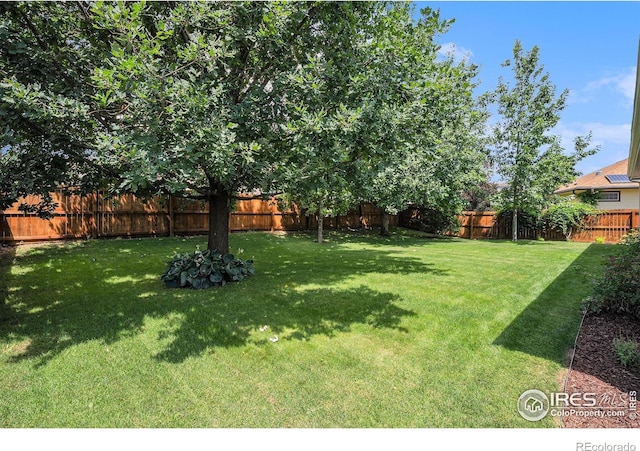 5516 Wetlands Dr, Frederick, CO 80504 - photo 27
