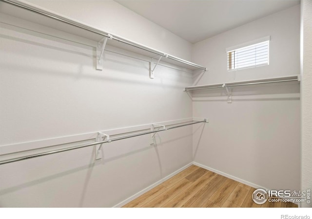 2102 Setting Sun Dr Unit 7, Windsor, CO 80550 - photo 17