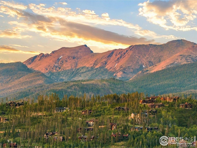 674 Leland Creek Cir, Winter Park, CO 80482 - photo 2